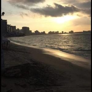 Meet your Posher, Steven